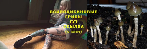 стафф Абдулино