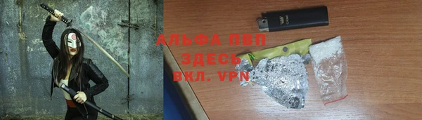 гашик Абаза