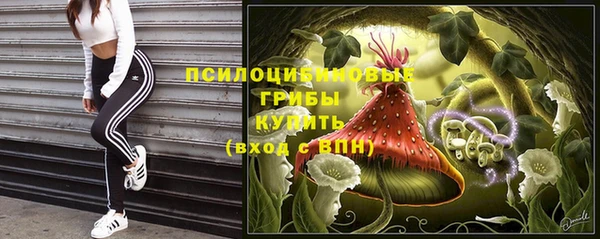 ГАЛЛЮЦИНОГЕННЫЕ ГРИБЫ Алзамай