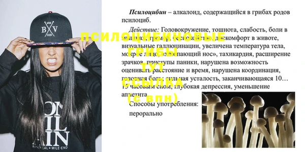 ГАЛЛЮЦИНОГЕННЫЕ ГРИБЫ Алзамай