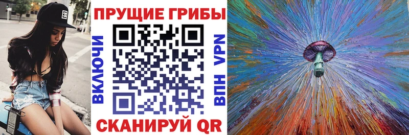 Псилоцибиновые грибы мицелий  Инта 